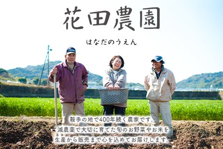 トマトケチャップとパスタ用調味料セット 花田農園《30日以内に出荷予定(土日祝除く)》
