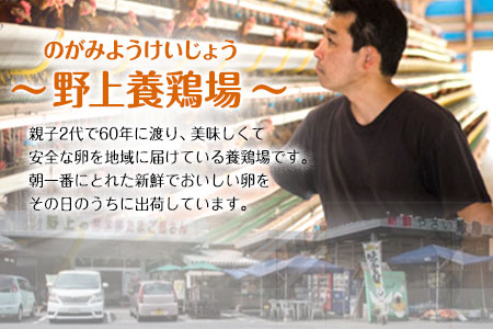 朝獲れ卵 味宝卵 (80個) 卵 Lサイズ 鶏卵《90日以内に出荷予定(土日祝除く)》野上養鶏場