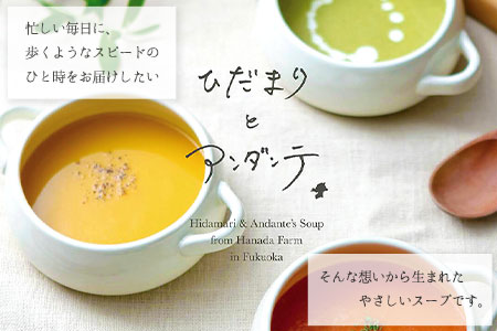【3ヶ月定期便】ひだまりとアンダンテセット 全3回《お申込みの翌月より出荷》福岡県 花田農園 野菜スープ トマト ブロッコリー かぼちゃ