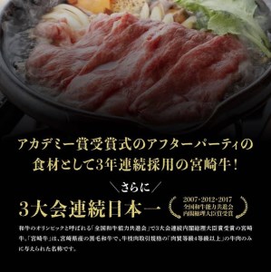 牛肉 【定期便】宮崎牛12ヶ月定期便A 牛肉