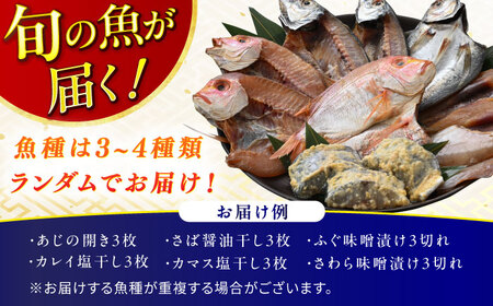 【加福鮮魚】 季節の旬の魚をお届け！"生"干物厳選詰め合わせ 計900g以上 一夜干し 醤油干し 味噌漬け 塩干し 小浜市 / 加福鮮魚 【配送不可地域：北海道・沖縄・離島】 [BFBC011] 