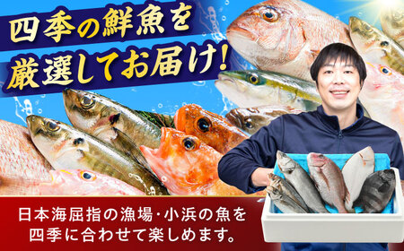 【加福鮮魚】「若狭小浜湾産地直送」旬の天然鮮魚お任せセット！ 計2kg以上 地魚 下処理済み 刺身 煮魚 小浜市 / 加福鮮魚【配送不可地域：北海道、北東北（秋田、青森、岩手）、九州、沖縄、離島】  [BFBC007] 