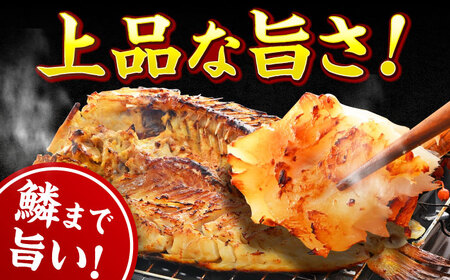 【加福鮮魚】若狭ぐじ 味噌漬け開き 1尾 800g 甘鯛 タイ アカアマダイ 高級  小浜市 / 加福鮮魚 【配送不可地域：北海道・沖縄・離島】 [BFBC002] 