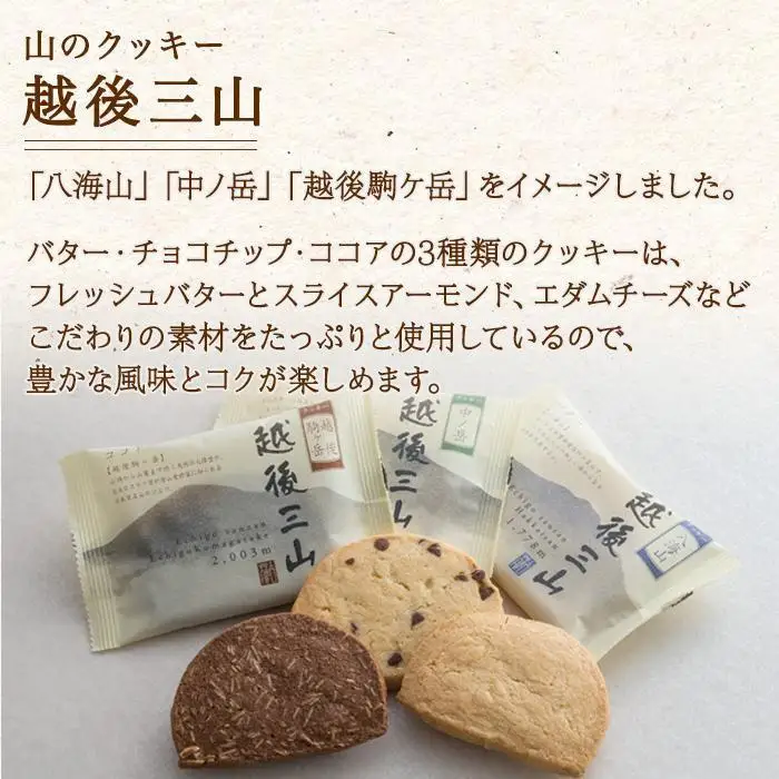 越後三山 山のクッキー 各4枚 計12個 クッキー チョコチップ ココア 和菓子 洋菓子 お菓子 菓子 焼き菓子 セット 菓子詰合せ 詰め合わせ スイーツ ギフト おかしとおやき ことう 新潟県 南魚沼市