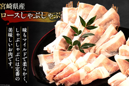 豚肉 宮崎県産 豚のトンカツ・焼肉・しゃぶしゃぶセット 計1.4kg [ミヤチク 宮崎県 日向市 452061589]