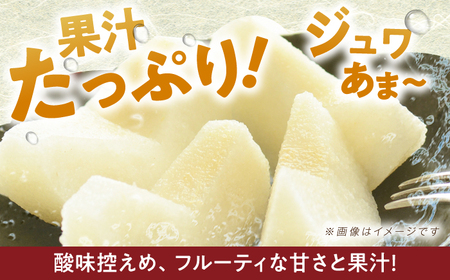 【2026年先行予約】梨（秋月）約5kg [EBY003] 梨 なし