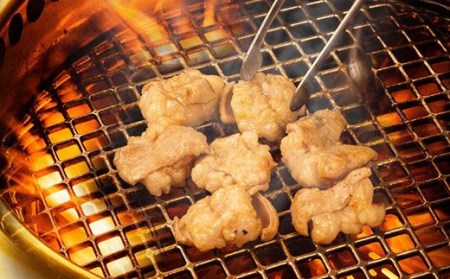 大人気焼肉屋さんのご家庭で簡単！モツ焼き肉セット1000g／Amu-03 焼肉 ビール牛焼肉 牛肉焼肉 ホルモン焼肉 国産焼肉