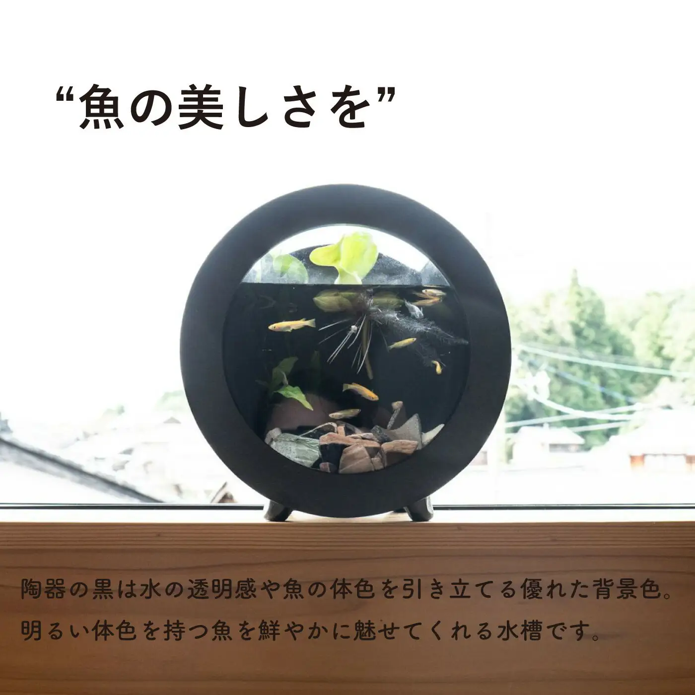 【信楽焼・明山】丸水槽・中（黒）aqua-01s