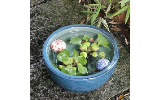 信楽焼 10号ナマコ水鉢 睡蓮鉢 メダカ鉢