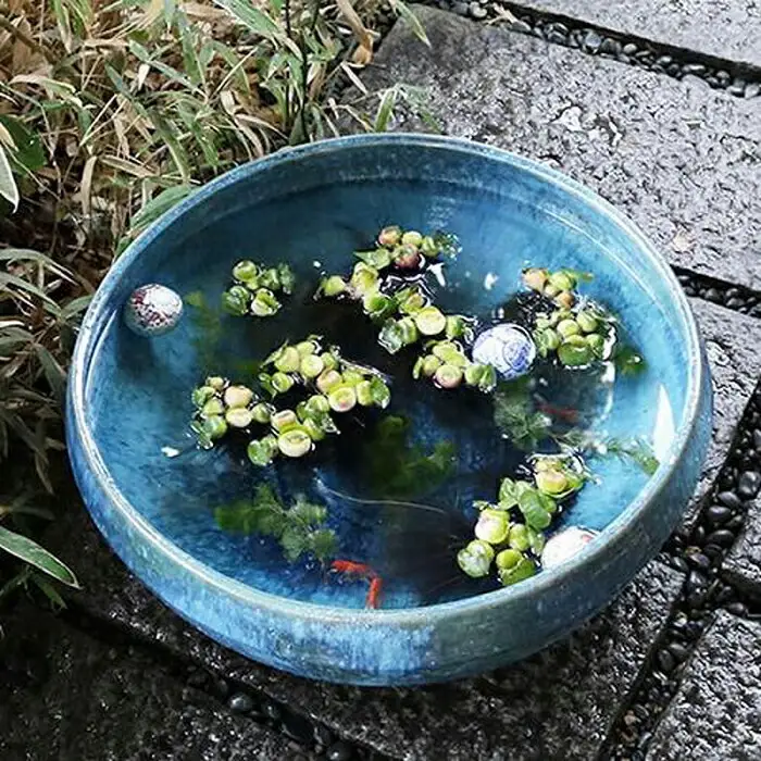 信楽焼 20号青ビードロ水鉢 睡蓮鉢 メダカ鉢