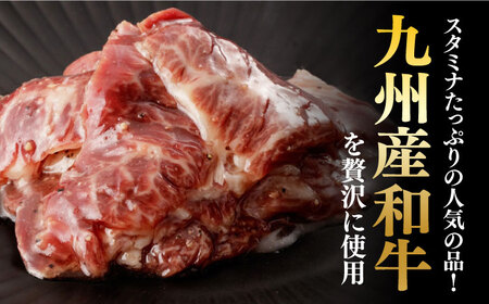 【全12回定期便】【塩だれ】九州産和牛ハラミ 2.5kg（250g×10袋）長与町/岩永ホルモン [EAX091] 国産 焼肉 小分け サガリ 味付き