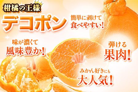 先行予約 デコポン 訳あり デコポン 約 5kg 前後(約12-24玉前後)  《4月下旬-5月末頃出荷》不知火と同品種 フルーツ 果物 みかん 柑橘