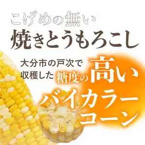 焼きの食感 こげめの無い焼きとうもろこし F08001
