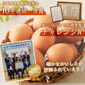 【3ヶ月定期便】”忍野の卵”旨味のピンク玉80個×3回 ※割れ保証含む 卵