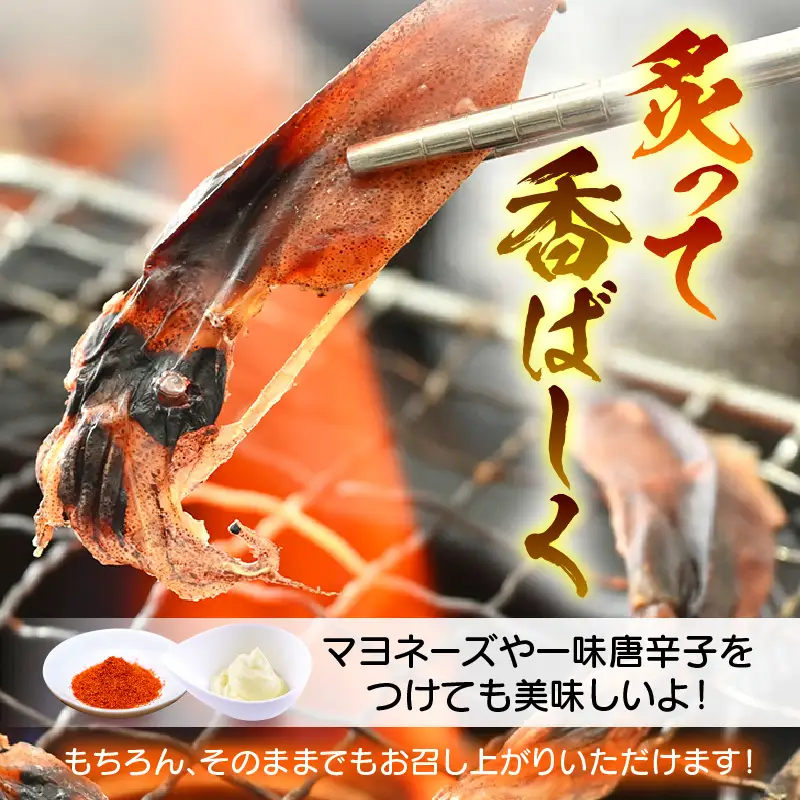 産地直送！ ホタルイカ 素干し 約250g（50g × 5パック） 便利な小分け袋  [e15-a017]
