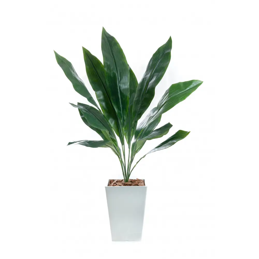人工観葉植物　ハラン　白樹脂鉢Sサイズ付