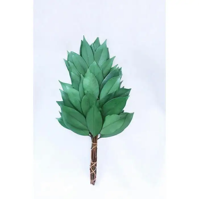 プリザーブド榊L 一対（花器なし）