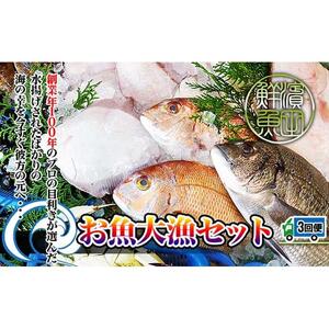 【定期便3回】創業100年の魚屋さんが選び抜いた旨い鮮魚直送便～