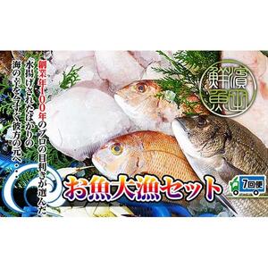 【定期便7回】創業100年の魚屋さんが選び抜いた旨い鮮魚直送便～