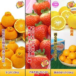 坂出産のフルーツとさぬきの特産品の定期便7回【Aコース】