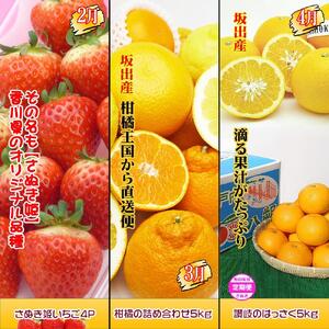 坂出産のフルーツとさぬきの特産品の定期便7回【Bコース】