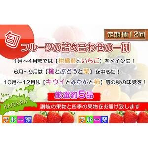 【頒布会12回】＜産直あきんど＞厳選フルーツの詰め合わせ［計12回連続お届け便］
