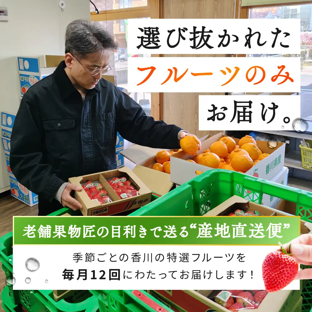 《特選プラチナコース》産直あきんど厳選フルーツ！魅惑の12回便 | フルーツ