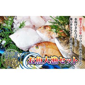 【瀬戸内海産】創業100年の魚屋さんが選び抜いた旨い鮮魚直送便～【配送不可地域：北海道・東北地方・沖縄・離島】