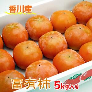 一度は食べたい香川産の完熟富有柿の詰め合わせ約5kg