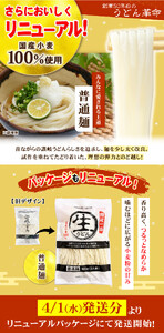 讃岐うどん  45食（麺のみ） | うどん 麺 さぬき 讃岐 うどん うどん 麺 人気 香川 うどん 麺 讃岐うどん
