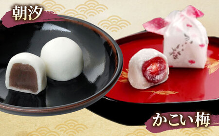 和菓子 創業約200年の老舗和菓子店の和菓子6種詰め合わせ！【秀菓撰 熊野(くまの)】島根県松江市/有限会社桂月堂[ALAP003] 和菓子 和菓子