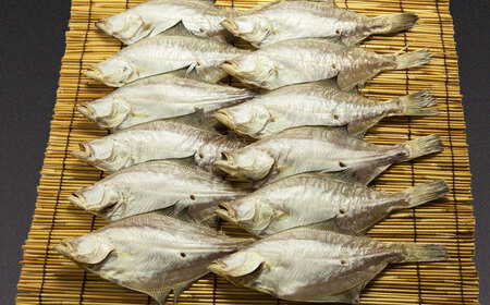 干物 ほかほかのご飯にぴったり！恵曇エテカレイ一夜干しセット×12尾 島根県松江市/有限会社丸三商店 [ALCP003] 干物 干物