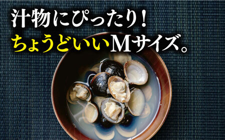 しじみ 砂抜き済 Mサイズ800g×6袋(4.8kg) 島根県松江市/しじみ市場株式会社[ALDK001] しじみ しじみ