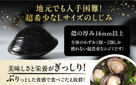 しじみ しじみ 地元でも入手困難なレアサイズ！ 宍道湖産ヤマトシジミ(冷凍砂抜き済み)Lサイズ1kg×5袋(5kg) 島根県松江市/宍道湖漁業協同組合[ALAZ001] しじみ しじみ