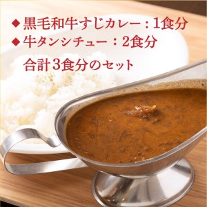 【全12回定期便】 黒毛和牛 牛すじカレー ＆ 牛タンシチュー 毎月3食 長与町/炭火焼肉あおい   [EBW009]  黒毛和牛 カレー かれー レトルト 牛タン 牛たん シチュー しちゅー 簡単 常温 定期便 定期 ていきびん