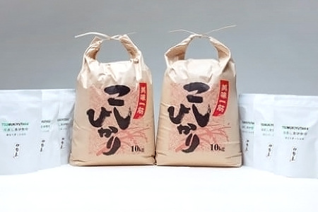 こしひかり 精米 20kg 奥伊勢茶（5g×20）3袋 （2g×40）3袋(283)