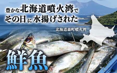 北海道森町産 噴火湾とれたて鮮魚福袋4kg以上 ＜道産ネットミツハシ＞ アブラコ（アイナメ） カレイ類 カジカ ソイ ガヤ ニシン ハタハタ フクラゲ サヨリ 福袋 鮮魚 海鮮 セット 焼き魚 煮付け 鍋 ふるさと納税 北海道 森町 mr1-0149