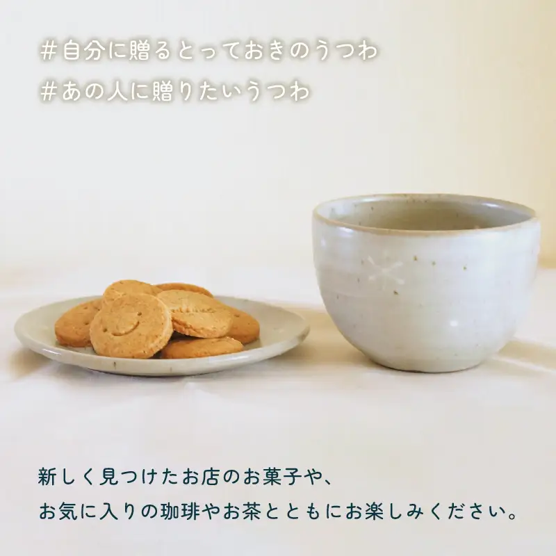 【越前焼】風来窯 雪イッチン紋  皿とカップ 【 陶器 食器  湯呑 福井県 伝統工芸品 】 [e25-b016]