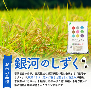 2ヶ月定期便 米 5kg 銀河のしずく 米