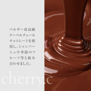 プレミアム ショコラ アソート15個【cherry.c】