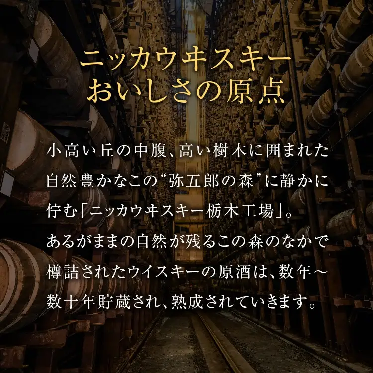 ウイスキー ブラックニッカ クリア 4L×1本 