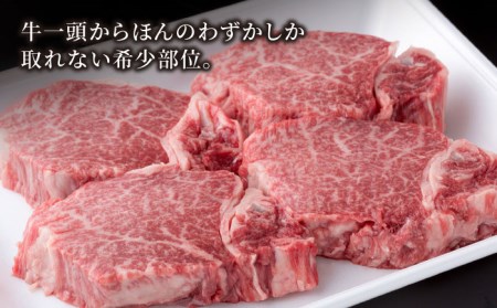 【6回定期便】佐賀県産 黒毛和牛 ヒレステーキ 500g / ヒレステーキ [IAG112]