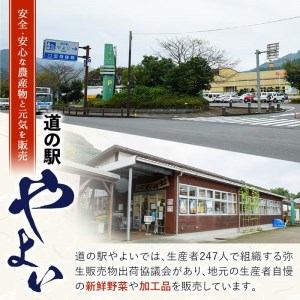 弥生の農家さん手作り 味噌食べ比べセット (合計2kg・2種×各1kg) 白味噌 合わせ味噌 味噌汁 炒めもの 調味料 セット 大分県 佐伯市【EN08】【道の駅やよい】
