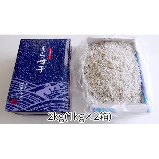 大津港水揚げ しらす干し 2kg ( 1kg × 2箱 ) （茨城県共通返礼品：北茨城市）