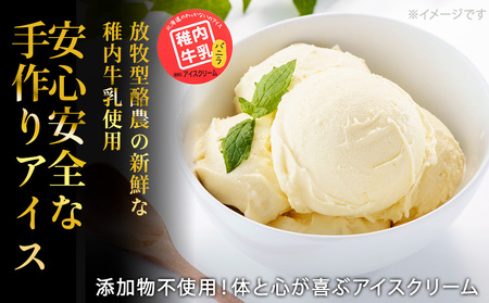 【業務用】稚内牛乳アイスクリーム2000mlバニラ×バニラ2個セット【配送不可地域：離島・沖縄県】