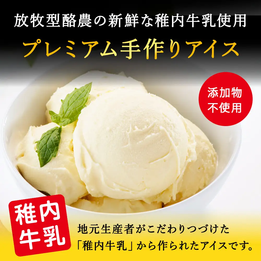 【業務用】稚内牛乳アイスクリーム2000mlバニラ×宗谷の塩2個セット【配送不可地域：離島・沖縄県】