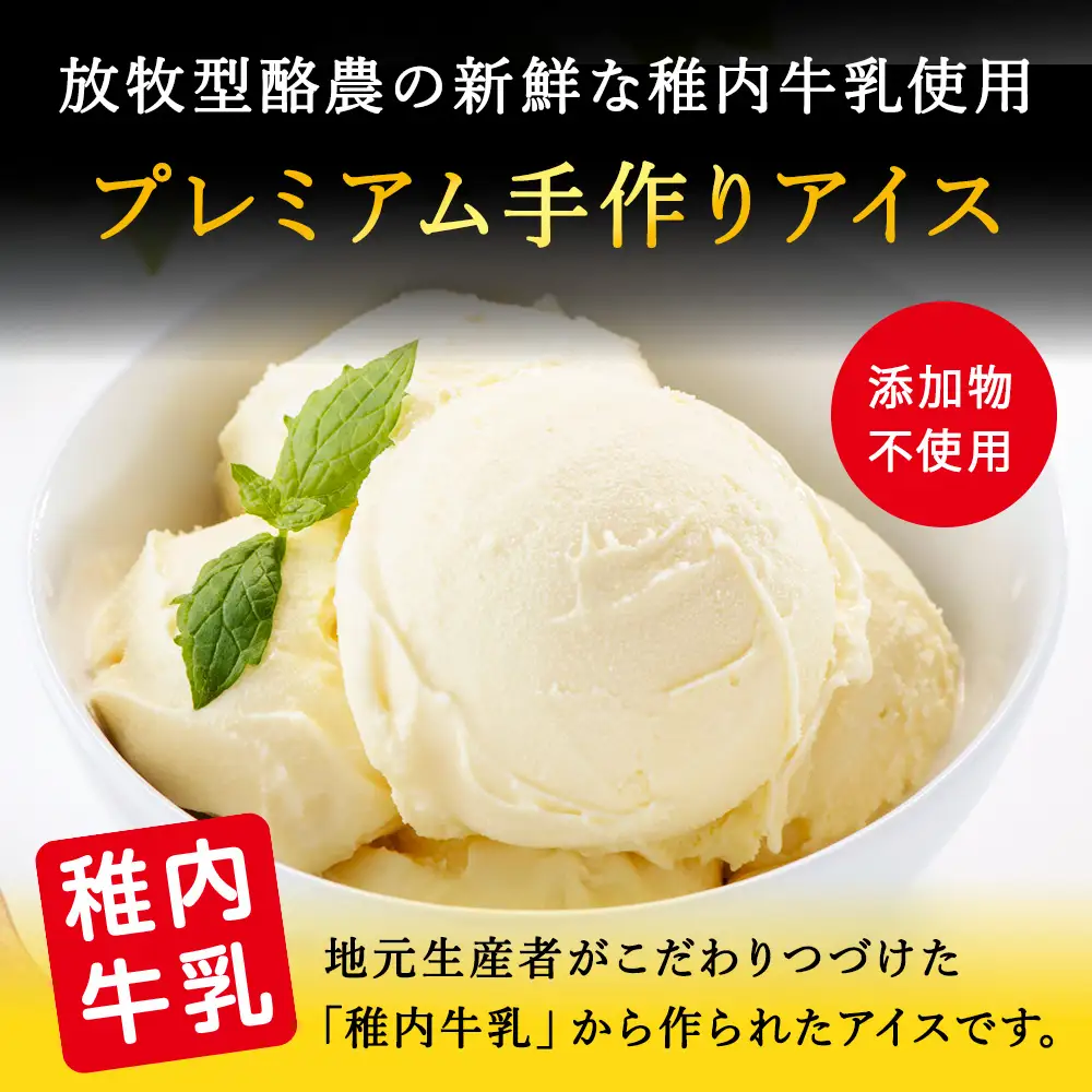 【業務用】稚内牛乳アイスクリーム2000mlバニラ×クマザサ2個セット【配送不可地域：離島・沖縄県】