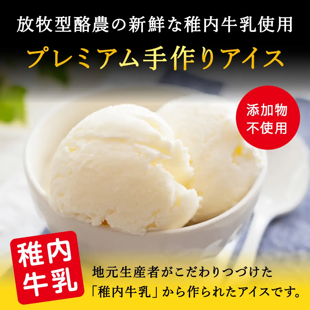 【業務用】稚内牛乳アイスクリーム2000ml宗谷の塩×クマザサ2個セット【配送不可地域：離島・沖縄県】