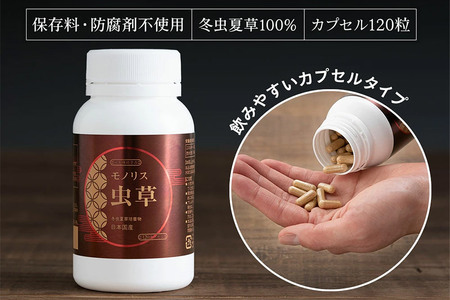 日本産冬虫夏草 モノリス虫草カプセル 120カプセル 1本 (1本30g)