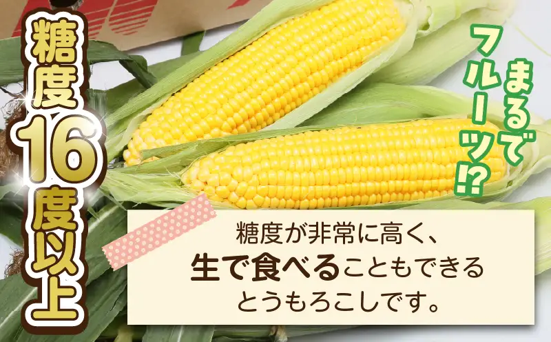 宮崎県産 スイートコーン 約9kg（約4.5kg×2箱）